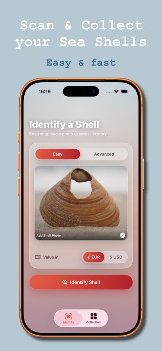 Sea Shell Identifier: Collect Screenshot 2 of 3