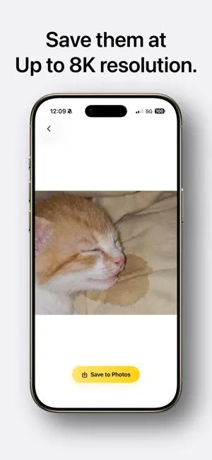 CatCollage screenshot 3