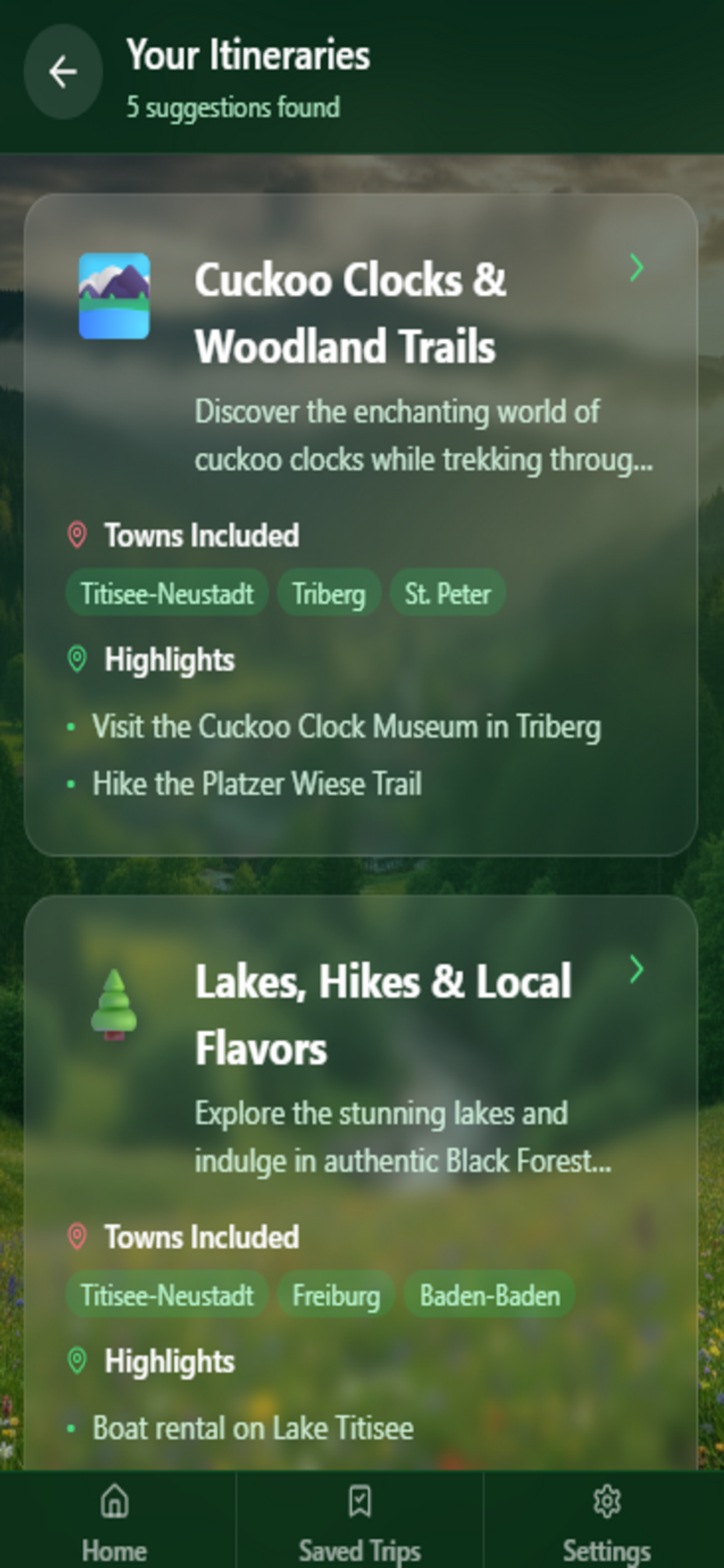 Black Forest Guide - Trip Plan