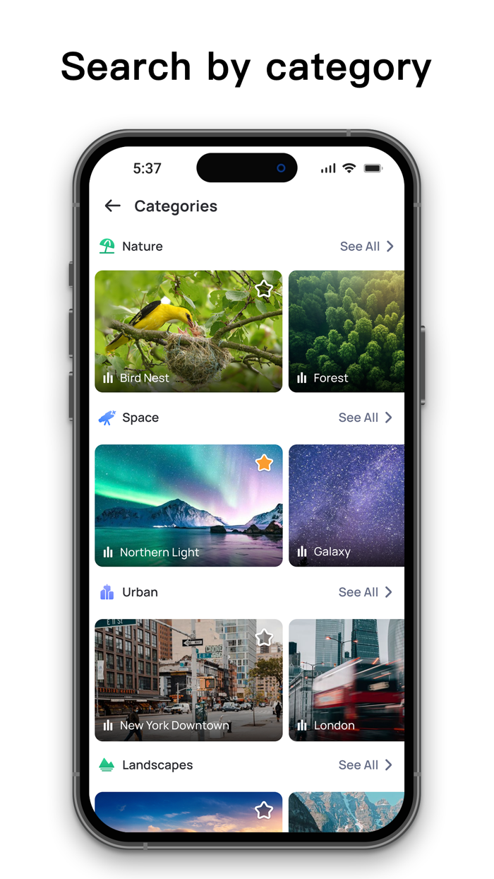 Live Earth Camera Street View