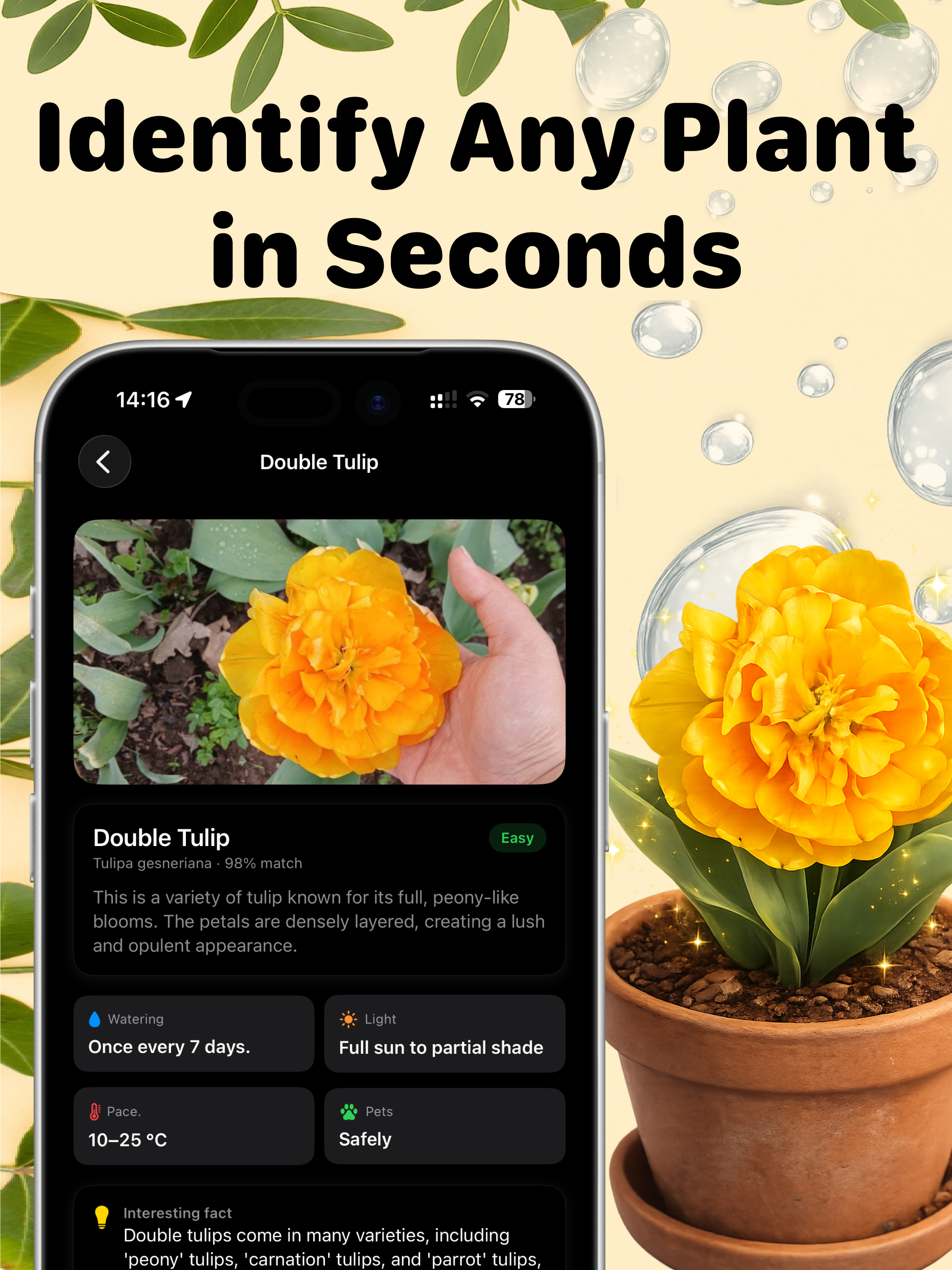 Plant Identifier, Care: FlorAI screenshot 6