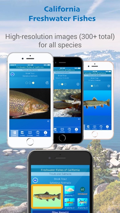 California Freshwater Fishes Screenshot