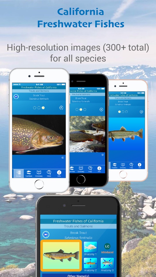 #8. California Freshwater Fishes (iOS) 由: I.M.D. Publicacion C.A.