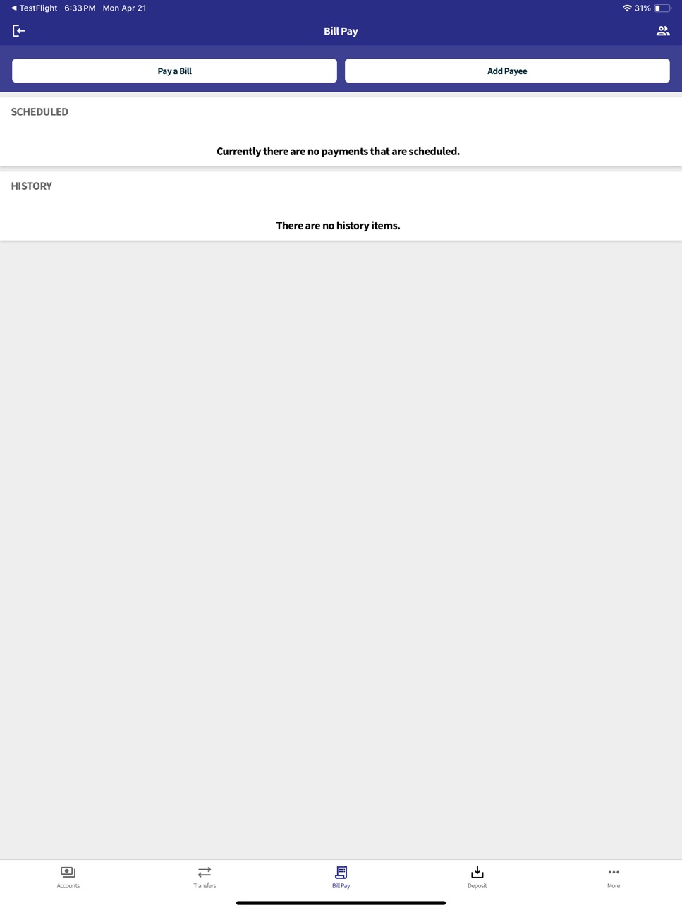 iPad screenshot