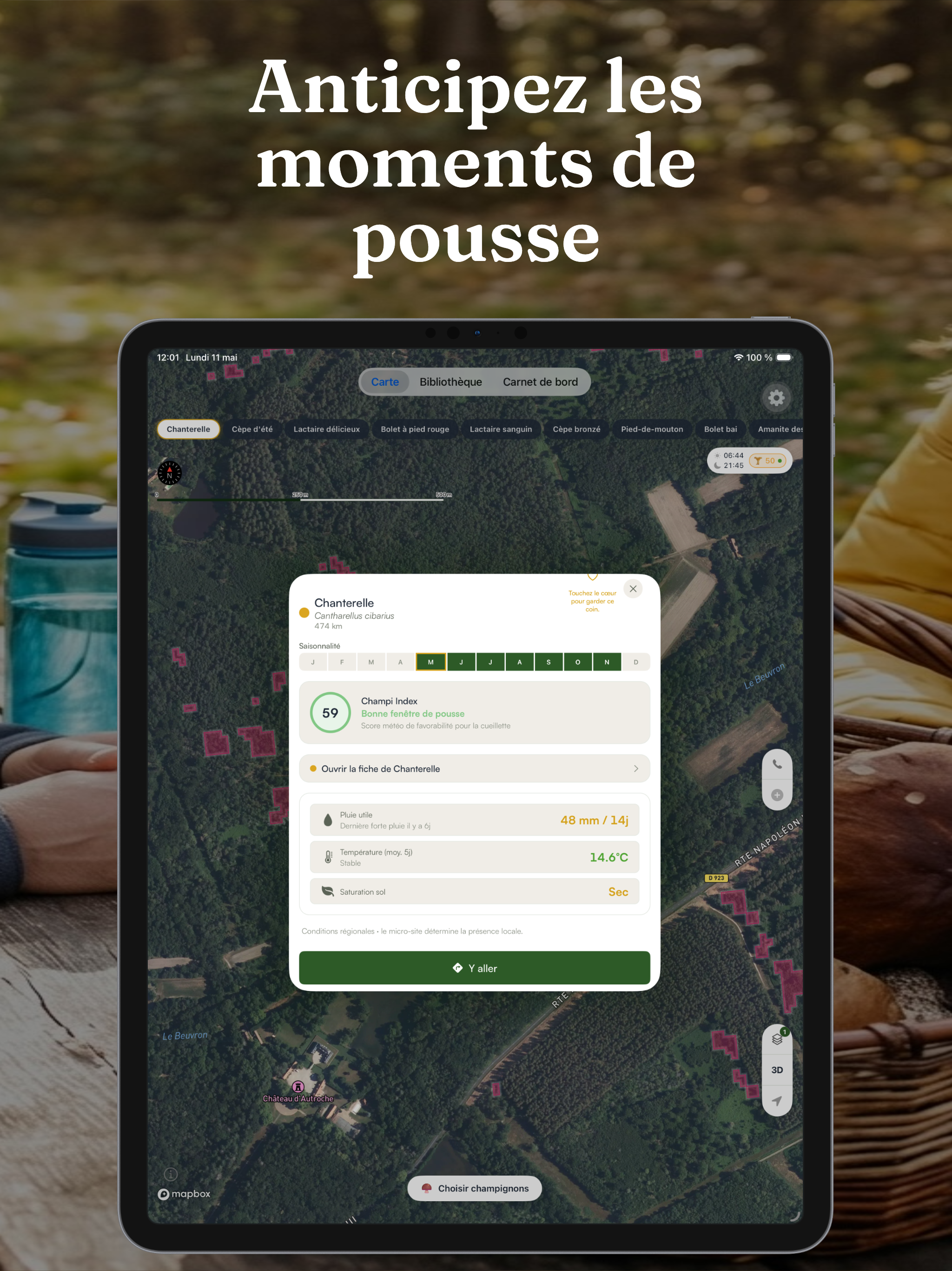 Champi · Carte Champignons screenshot 10