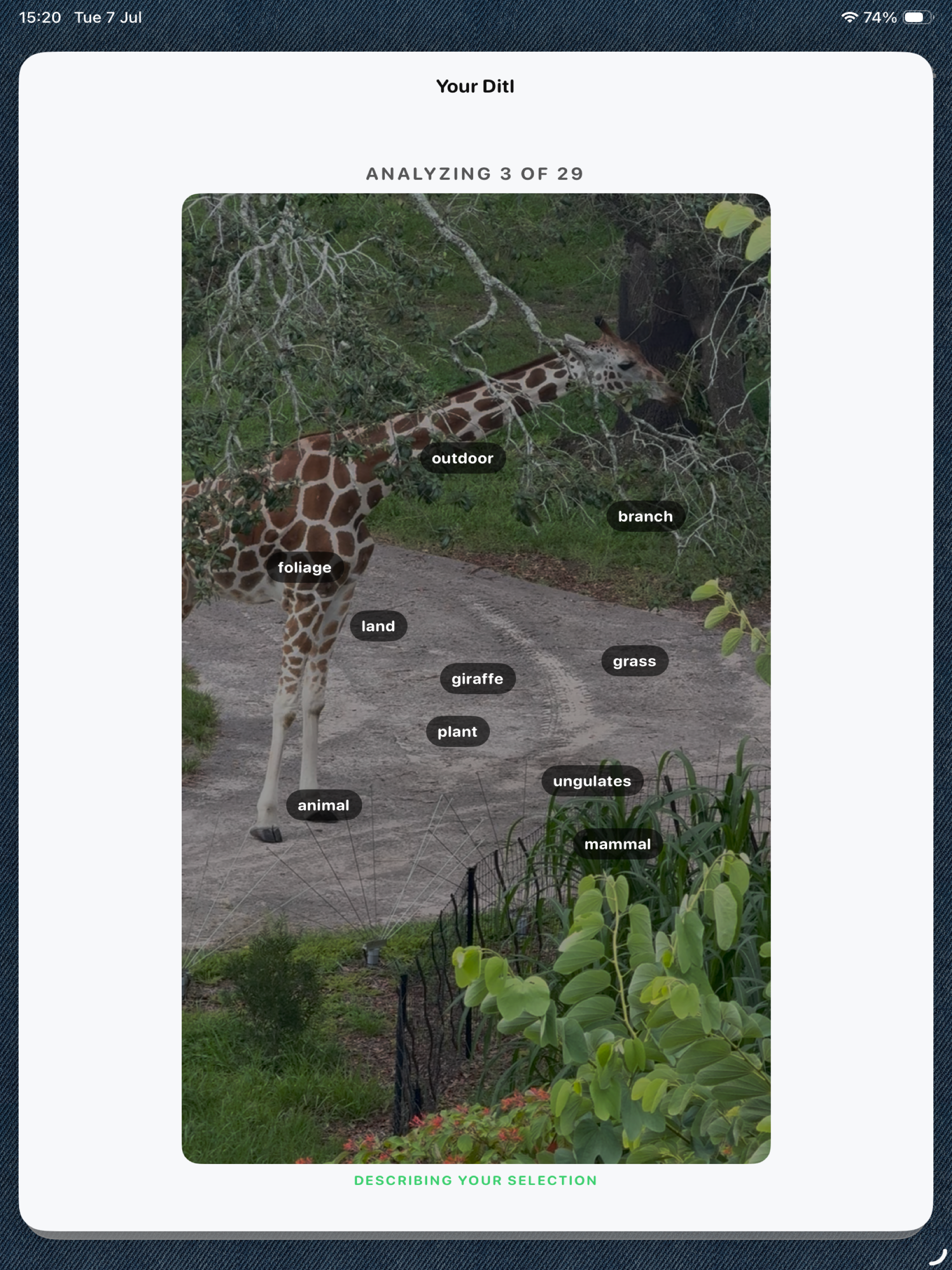 ditl - Auto Video Editor screenshot 9