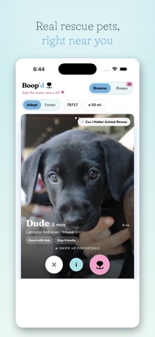 Boop'd: Rescue Pet Adoption Screenshot 1 of 3