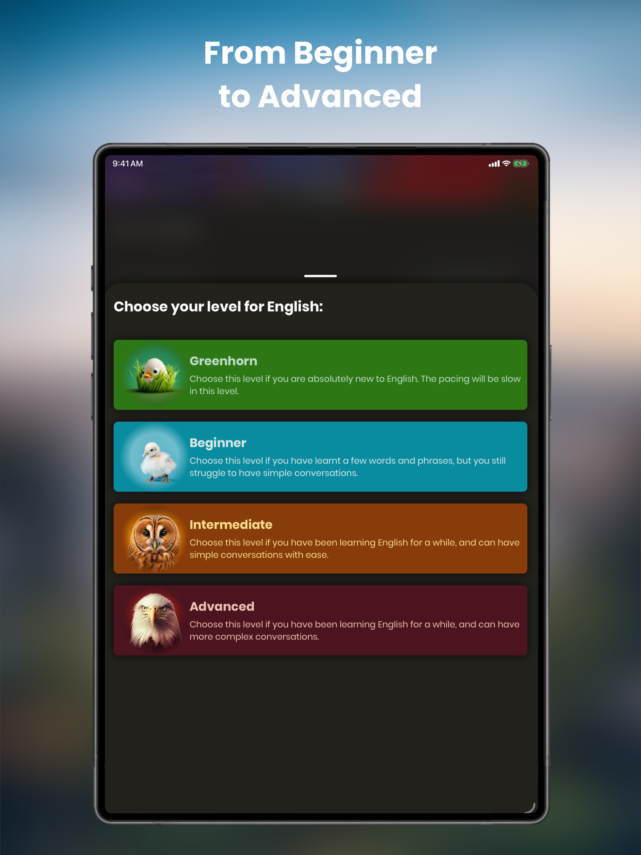 Just English screenshot 9