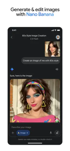 Google Gemini screenshot 1