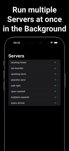 PocketServer: Folder Sharing Screenshot 4 of 5
