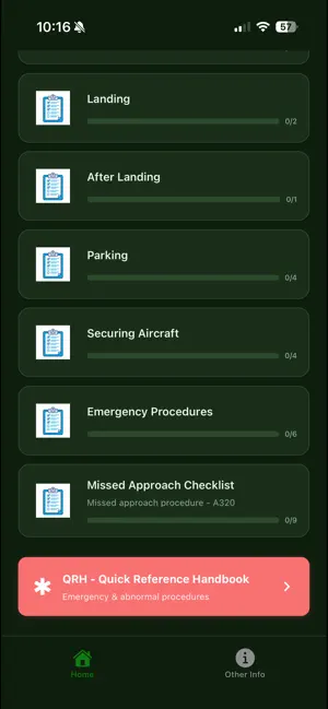 Realistic AI First Officer screenshot 4