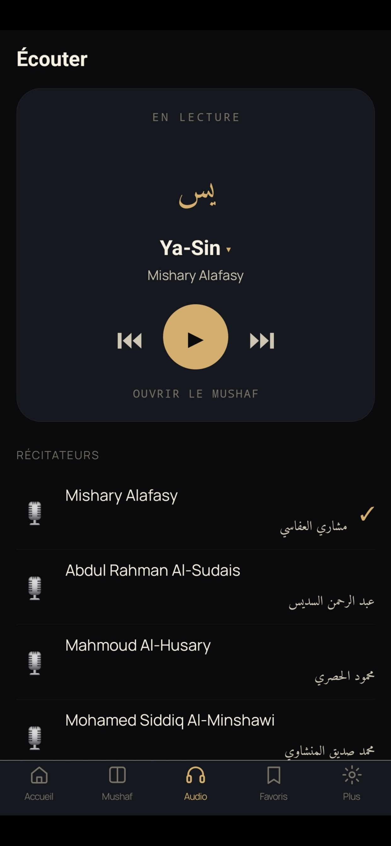 QuranFlow : Mémoriser Coran screenshot 9