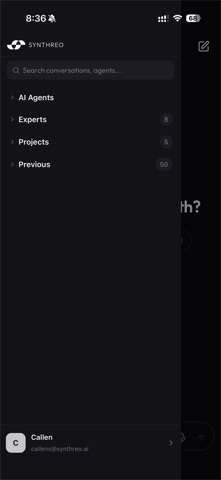 Threo: Secure AI for Work iPhone screenshot