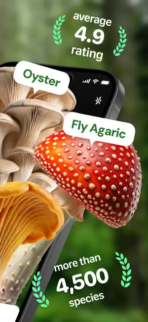 Mushroom ID - Fungi Identifier screenshot 2