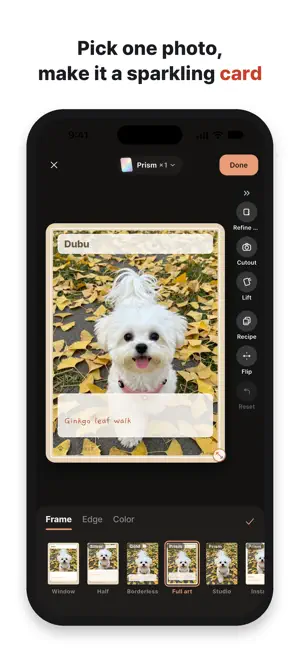 Popokit: Dog Walk Journal screenshot 1