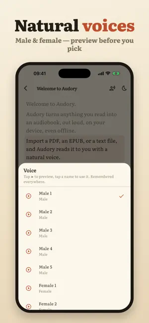 Audory: PDF to Audiobook screenshot 3