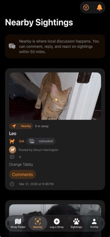 StraySpotter screenshot