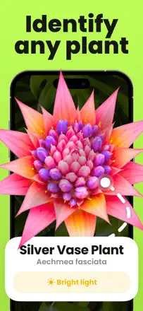 Plant Identifier & Care : capture d’écran 1 sur 8