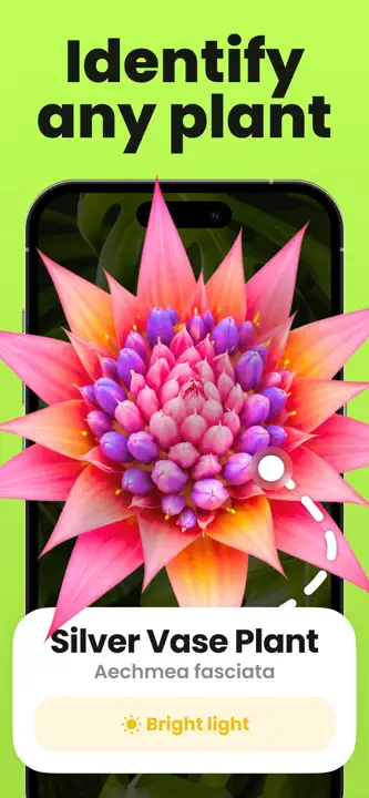 Plant Identifier & Care: Screenshot 1 von 8