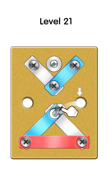 Screw Pin: Nuts & Bolts Puzzle