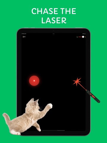 Games for Cats & Kittens: iCat iPad screenshot
