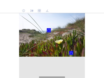Photo Cut + iPad screenshot