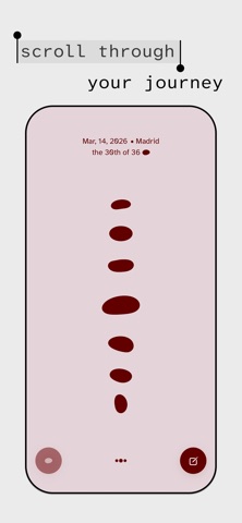Pebble Journal. screenshot