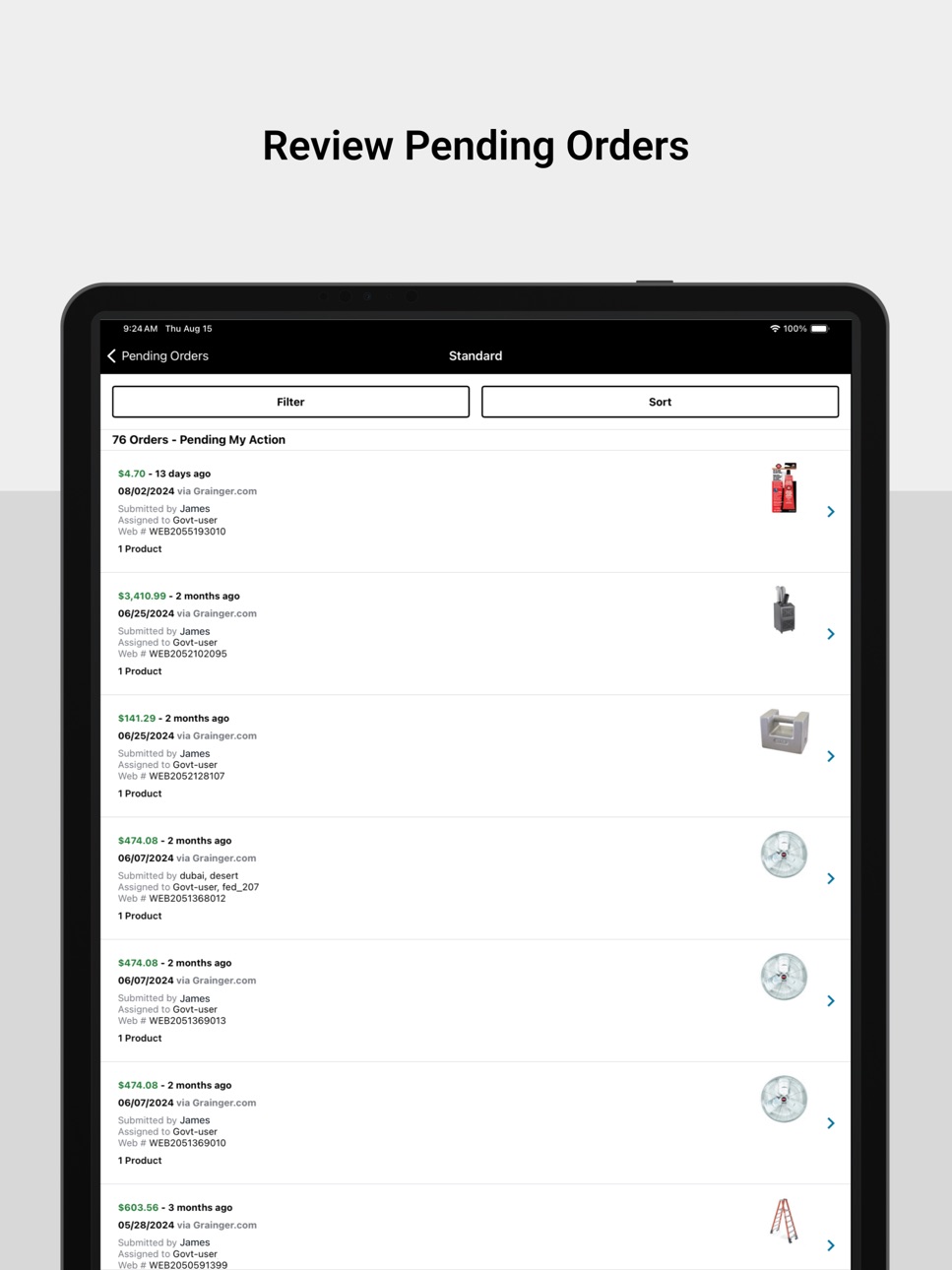 iPad screenshot