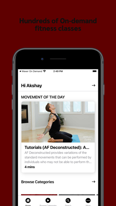 Animal Flow OnDemand Screenshot