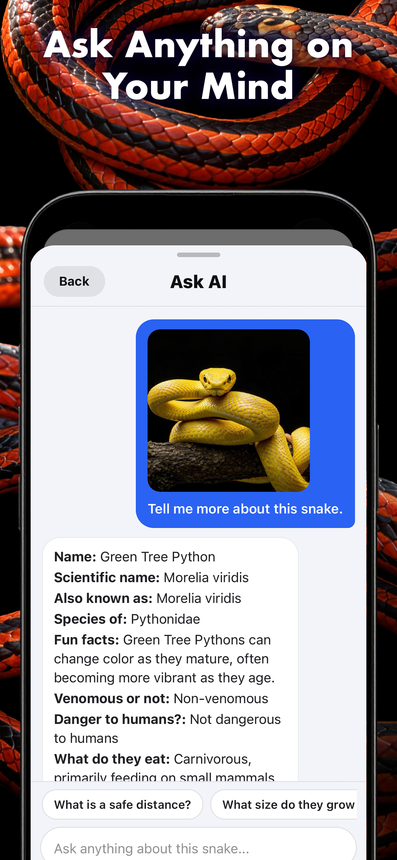 Snake Identifier | Venom Scan screenshot 4