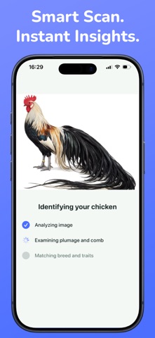 Chicken Identifier: Scan AI Screenshot 2 of 6