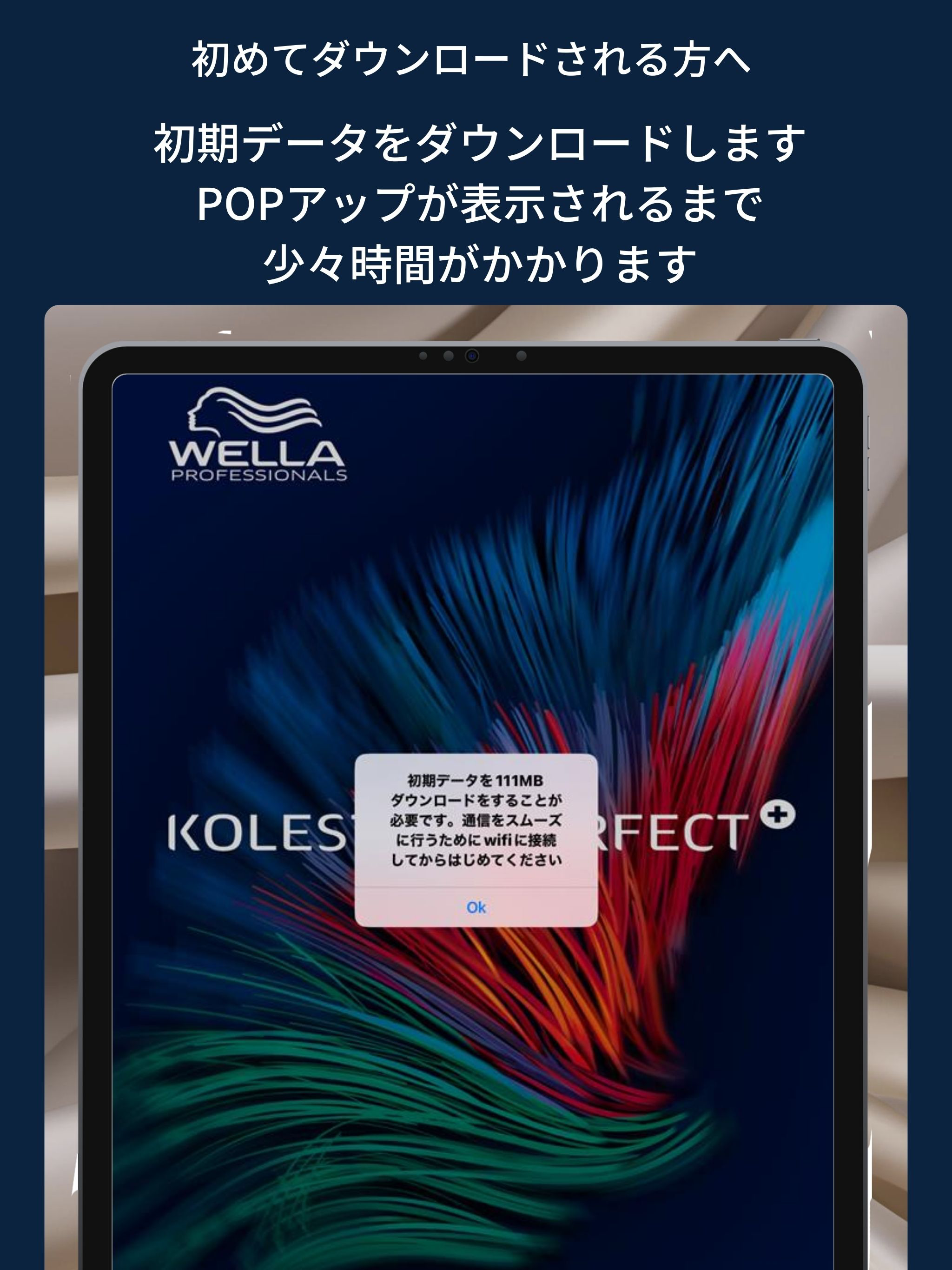 コレストンパーフェクト プラス デジタルカラーチャート