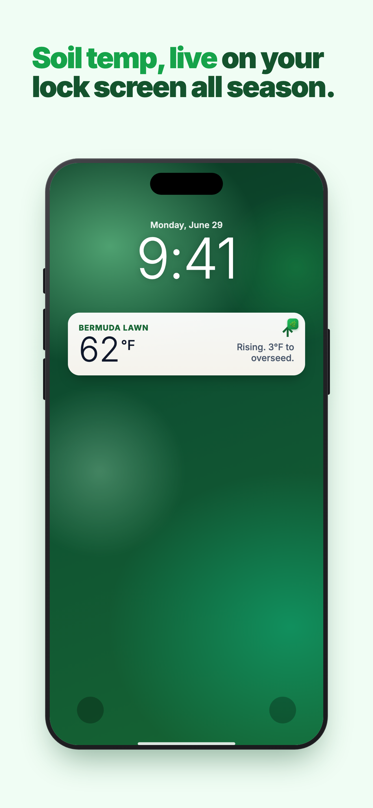 What Grass Is This? screenshot 8