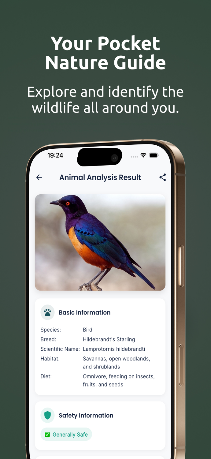 Insect Bug  Identifier, ID