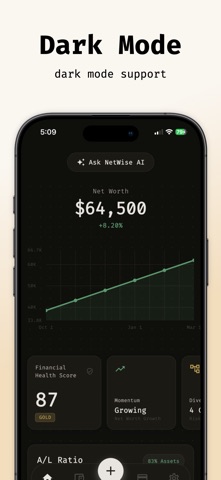 NetWise - AI Wealth Tracker Screenshot 1 of 5