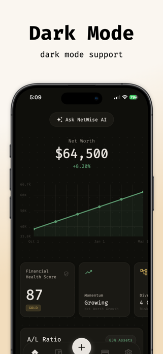 NetWise - AI Wealth Tracker Screenshot 1 of 5