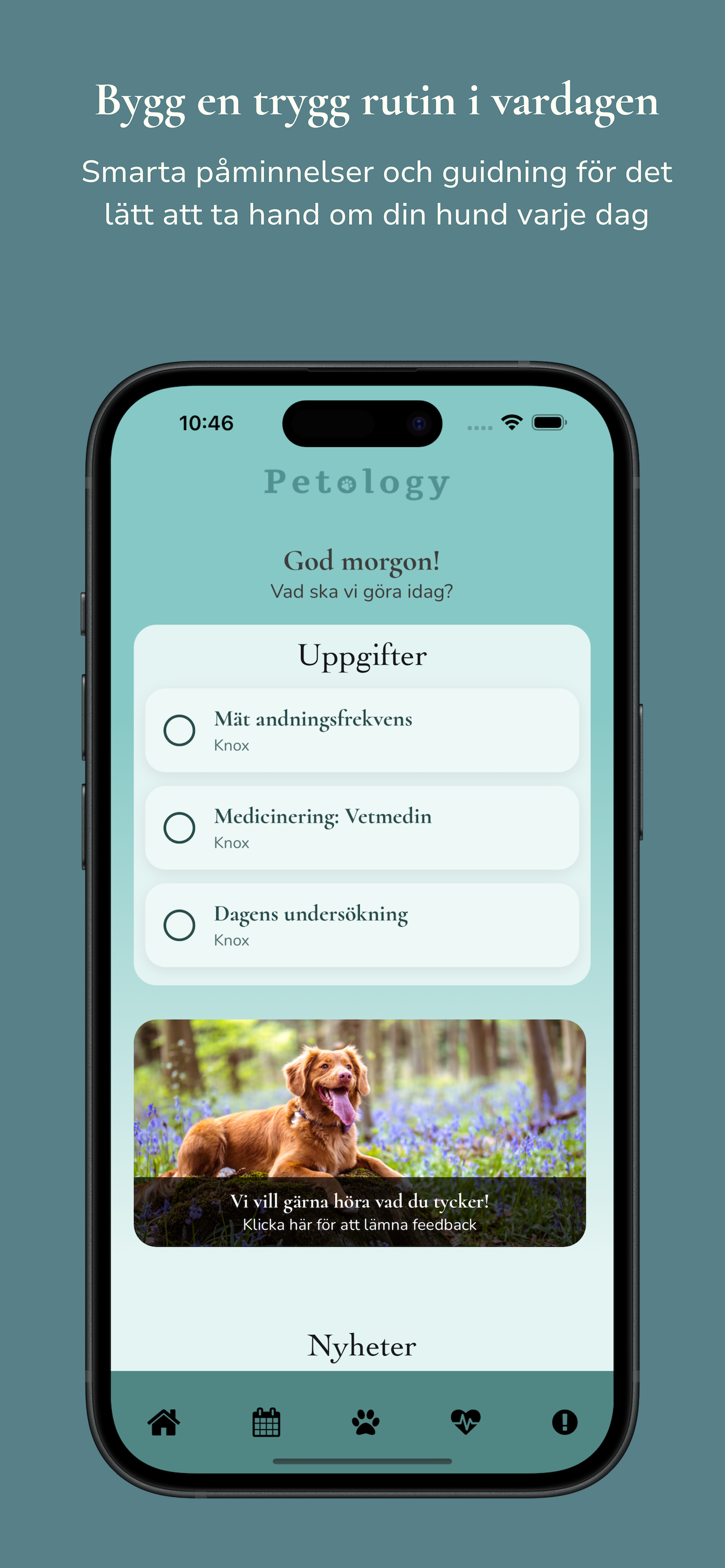 Petology Pet Care