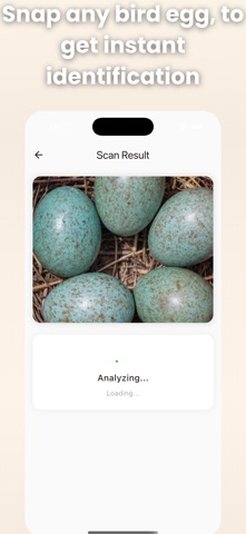 Bird Egg Identifier: AI Scan screenshot
