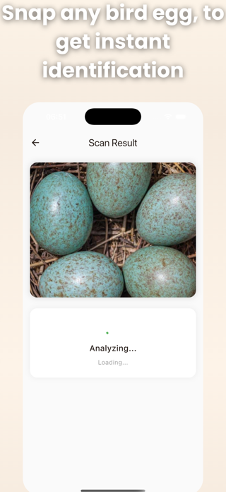 Bird Egg Identifier: AI Scan Screenshot 3 of 5