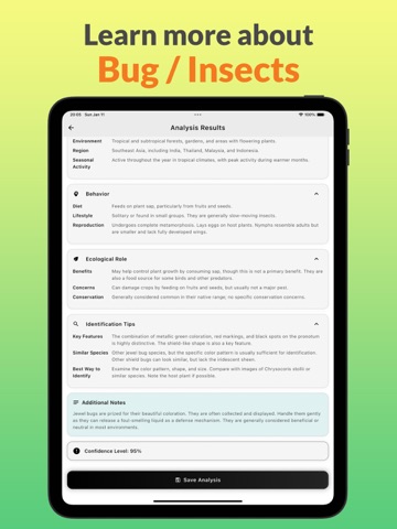 Insects ID: Bug Identifier iPad screenshot