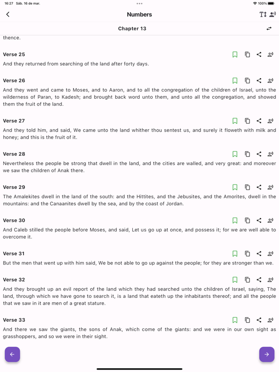 Holy Bible (Offline) iPad screenshot 5 - Education app
