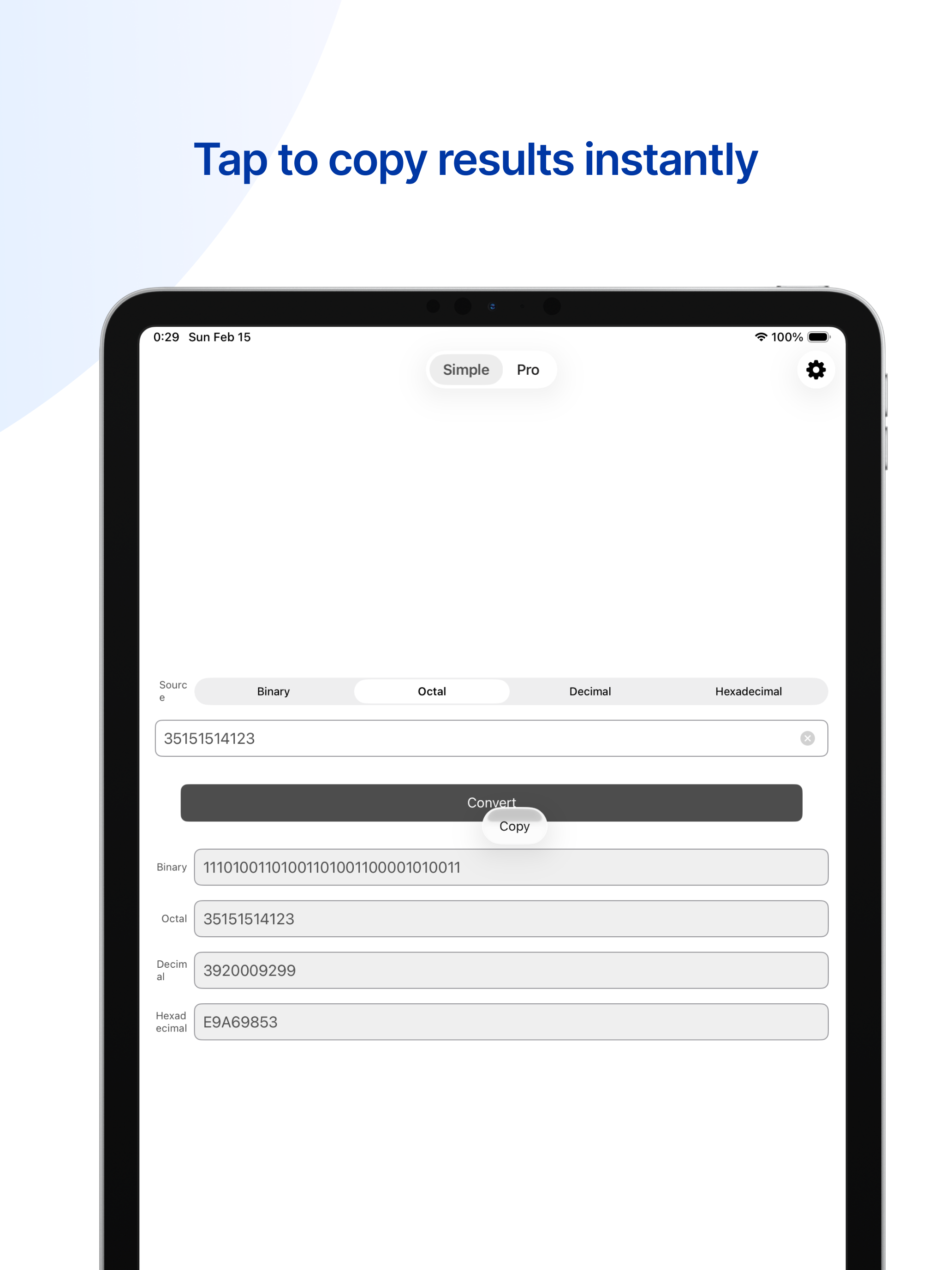 Radix Converte screenshot 6