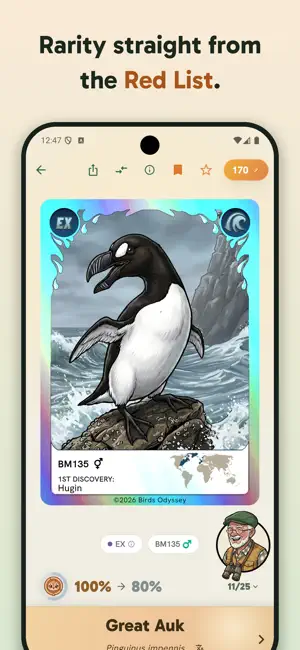 Birdey: Real Bird Card Game screenshot 3