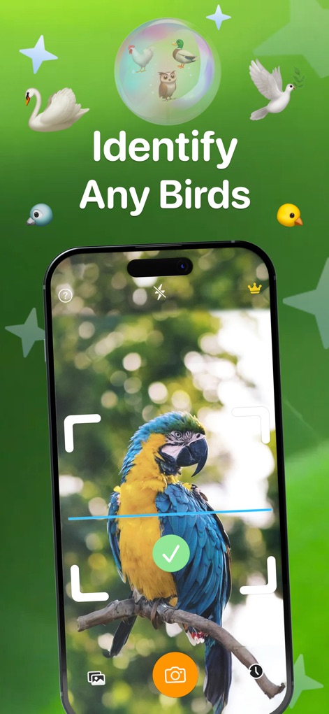 Bird Identifier: BirdID - Reference App | MWM