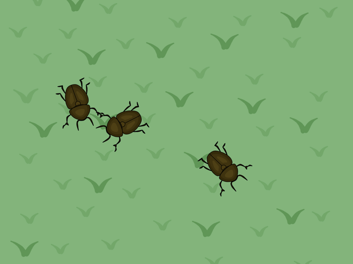 Cat Games - Games For Cats