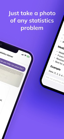 Statistics Solver - Stat AI screenshot