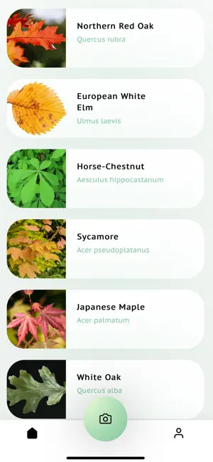 Tree Leaf Identifier screenshot 4