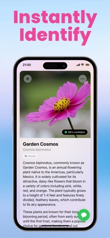 Plant Identifier — Plantory screenshot