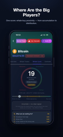 Fluxion: Crypto Whale Tracker Screenshot 8 of 10