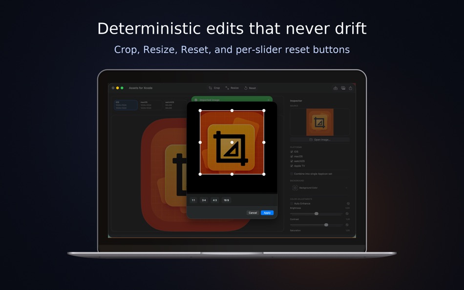#4. Assets for Xcode (macOS) By: Rodrigo Dutra de Oliveira